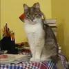 Отзыв от Инесса Хохлова